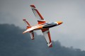 Skywing - Falcon 71"
