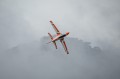 Skywing - Falcon 71"