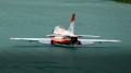 Skywing - Falcon 71"