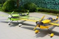 Skywing - Edge 540 - 116"