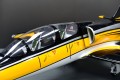 Skywing - L39