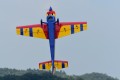Skywing - Extra NG - 91"