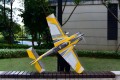 Skywing - Extra NG - 67" PNP