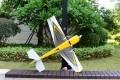 Skywing - Edge 540 - 61"
