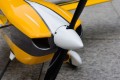 Skywing - Edge 540 - 74"
