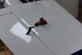 Skywing - Laser 260 - 60"
