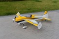 Skywing - Laser 260 - 74"