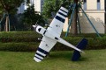 Skywing - Laser 260 - 74"